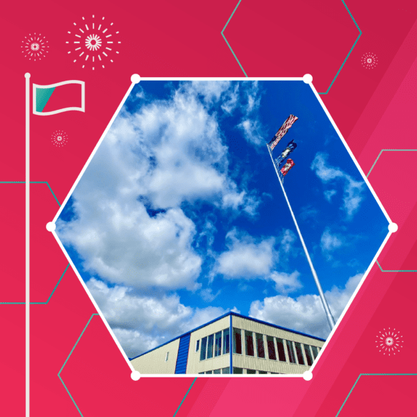 Flags on a tall pole against a blue sky with clouds. Geometric elements and a flag icon are on a red background.
