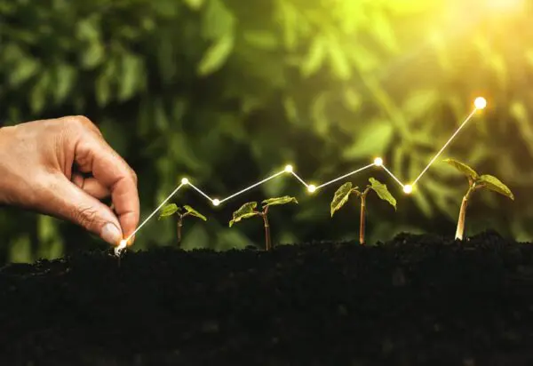 Hand planting a seedling in soil, with a series of small plants marked by a glowing line graph above, symbolizing growth or progress.