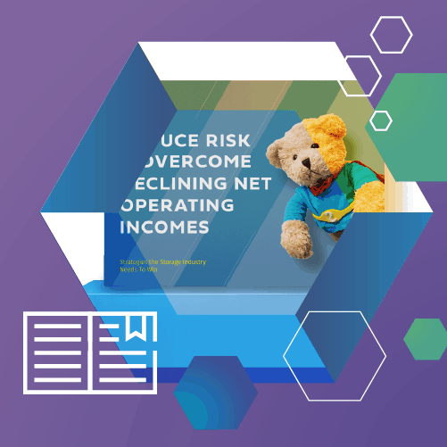 Ebook: Reduce Risk & Overcome Declining Net Operating Incomes