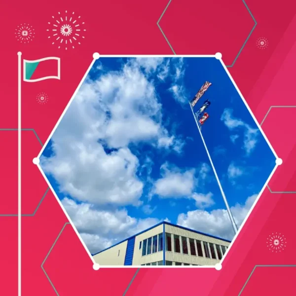 A blue sky with scattered clouds above a building, featuring several flags on tall flagpoles, set within a hexagonal frame on a pink geometric background.